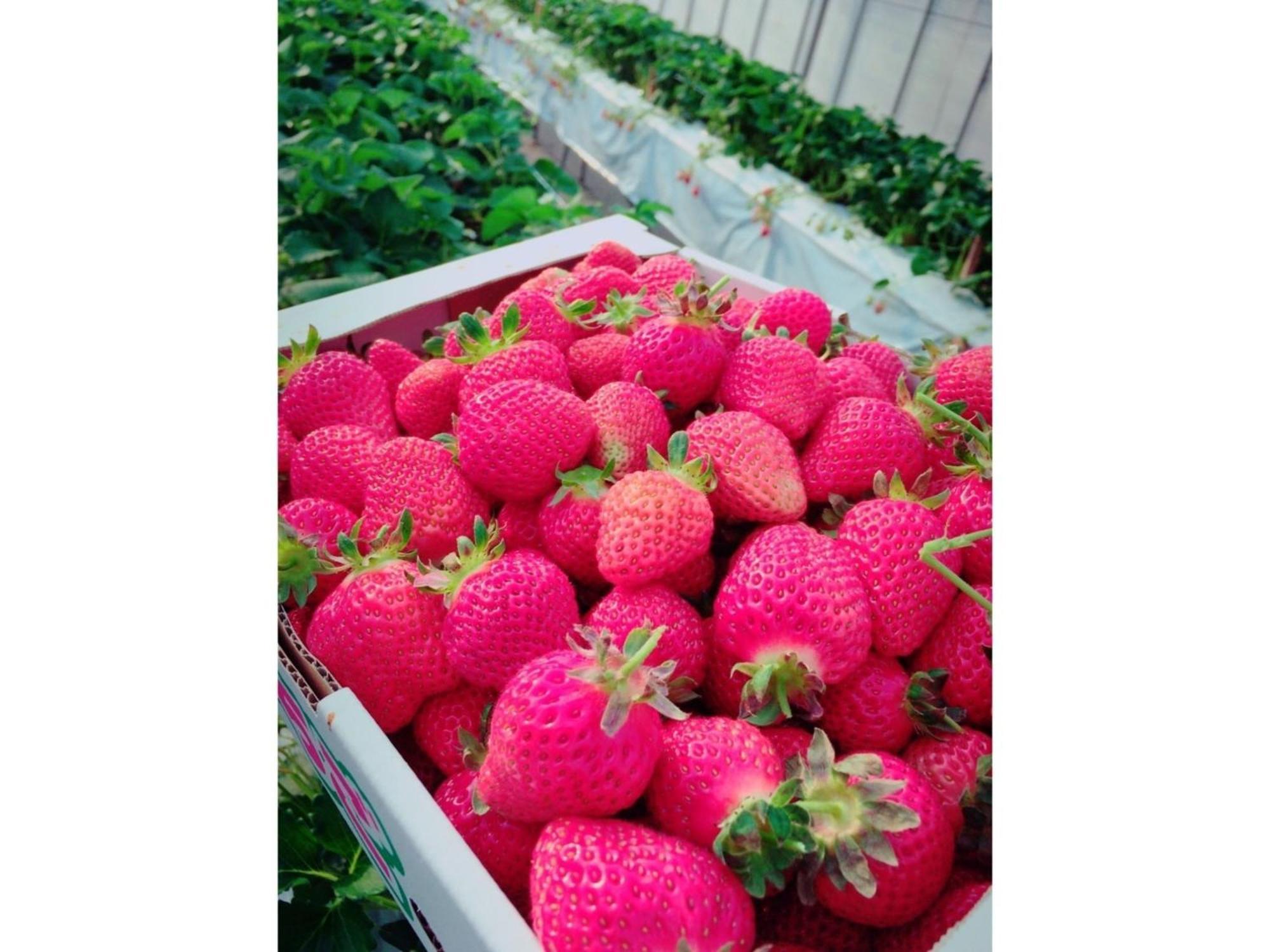 The Paradise Garden Sasebo Buitenkant foto