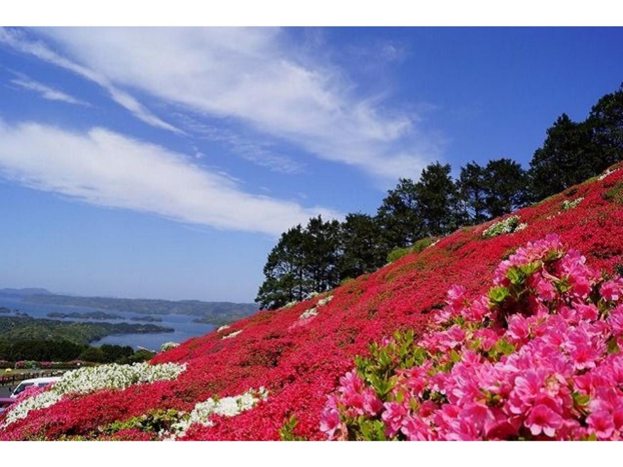 The Paradise Garden Sasebo Buitenkant foto